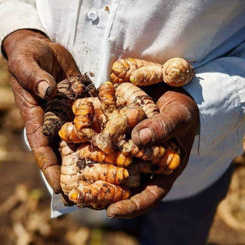 Burlap & Barrel - New Harvest Turmeric - Single Origin Spice & Seasoning