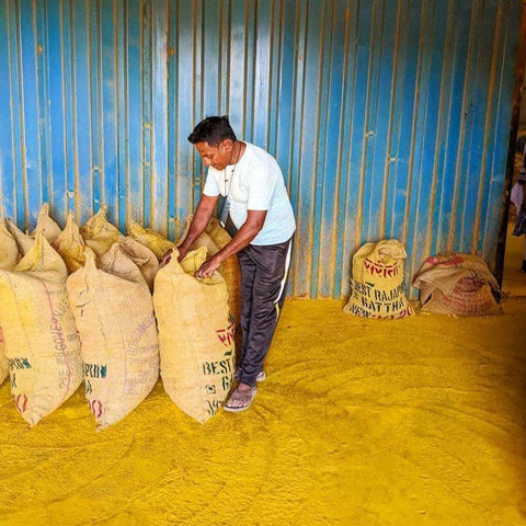 Burlap & Barrel - New Harvest Turmeric - Single Origin Spice & Seasoning