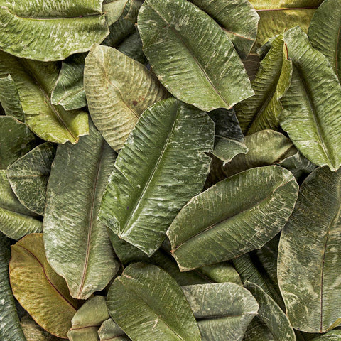 Burlap & Barrel - Whole Caribbean Bay Leaves - Spice & Seasoning