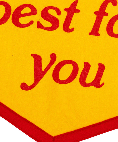 Oxford Pennant - I Always Kept The Best For You Camp Flag • Turnpike Troubadours x Oxford Pennant