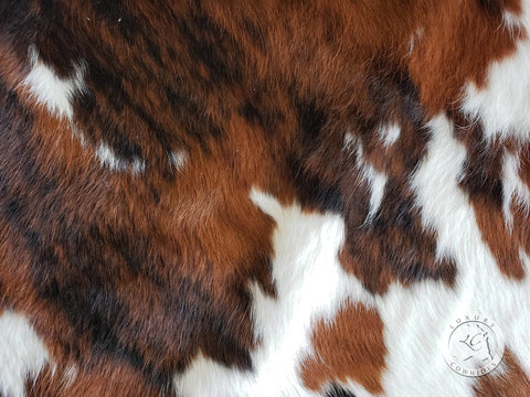 Sunshine Cowhides - Tricolor Cowhide Rug