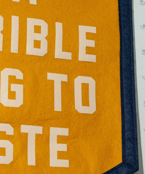 Oxford Pennant - Adversity Is A Terrible Thing To Waste Camp Flag • Unreasonable Hospitality x Oxford Pennant