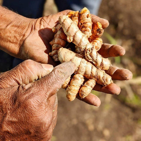 Burlap & Barrel - New Harvest Turmeric - Single Origin Spice & Seasoning