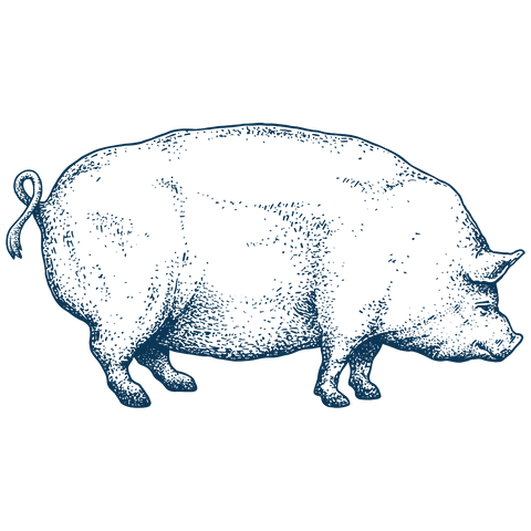 Beresford's Pork illustration of a pig